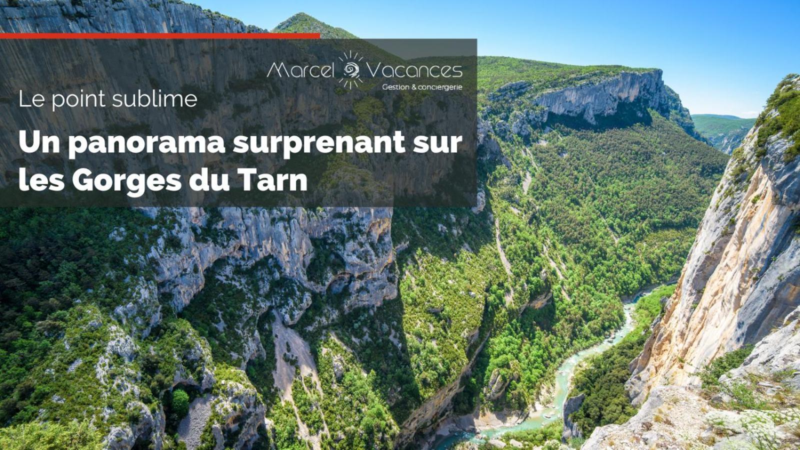 Gorges Du Tarn Gite En Pierres Avec Terrasse Quezac  Dış mekan fotoğraf