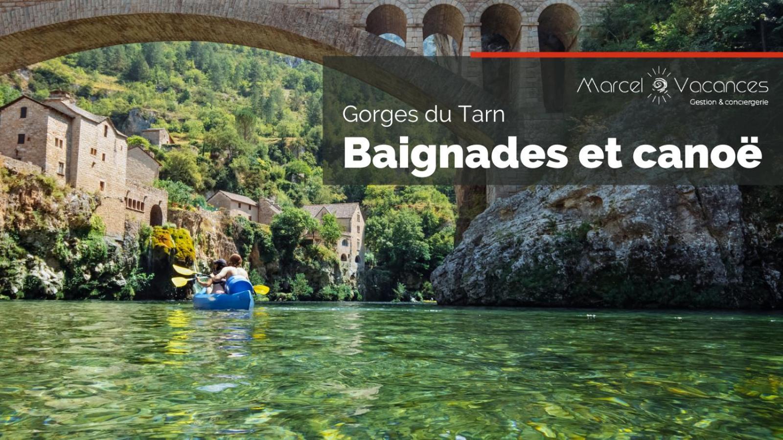 Gorges Du Tarn Gite En Pierres Avec Terrasse Quezac  Dış mekan fotoğraf